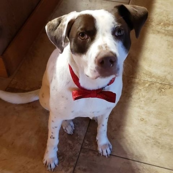 Meet your Posher, Kelly - Picture 1 of 2